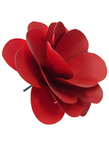 Rosa de flandes
