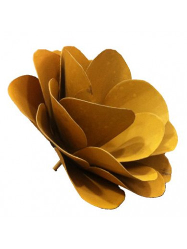 Rosa de ferro