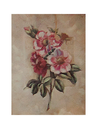 Gravura 25x20 cm