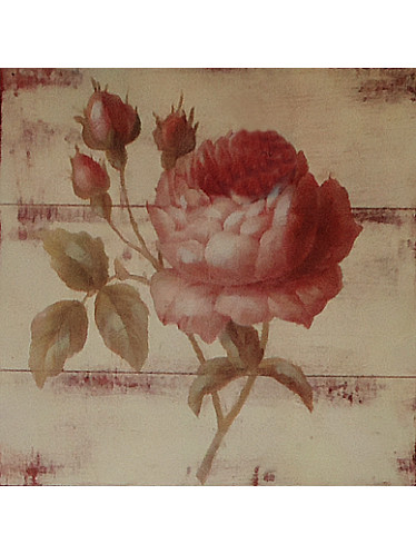 Gravura 25x25 cm