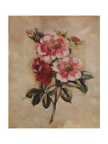 Gravura 25x20 cm