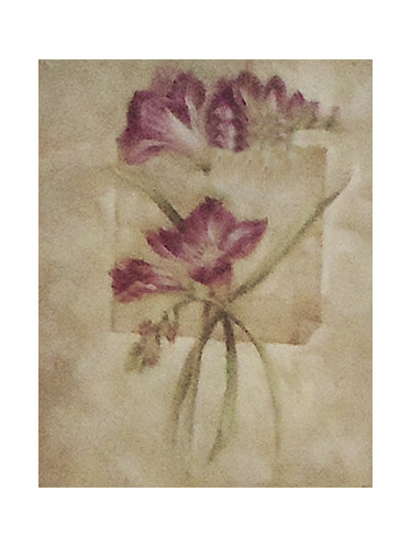 Gravura 25x20 cm