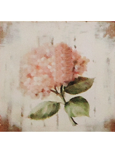 Gravura 20x20 cm