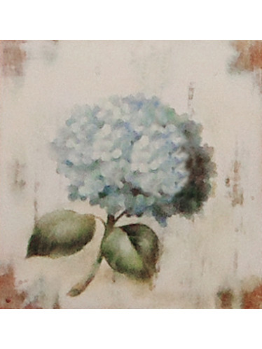 Gravura 20x20 cm