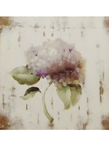 Gravura 20x20 cm