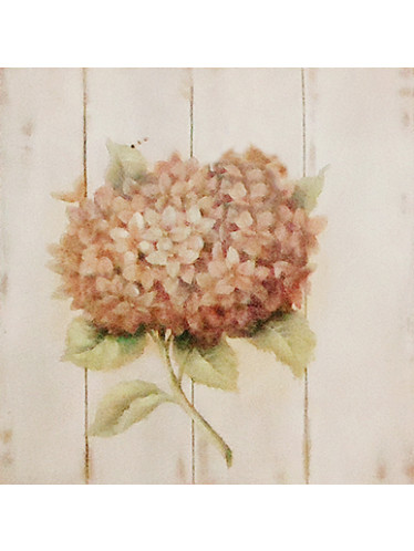 Gravura 30x30 cm