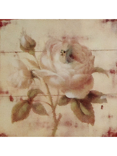 Gravura 25x25 cm