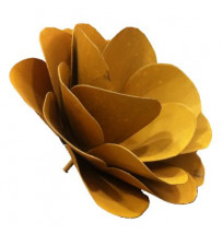 Rosa de ferro