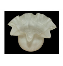 Cúpula Caracol de vidro fosco