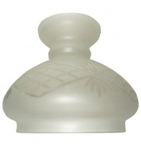 Cúpula de vidro Lampião 13
