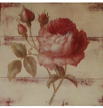 Gravura 25x25 cm