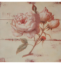 Gravura 25x25 cm