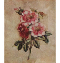 Gravura 25x20 cm