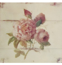 Gravura 25x25 cm