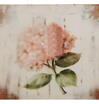 Gravura 20x20 cm
