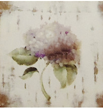 Gravura 20x20 cm