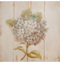 Gravura 30x30 cm