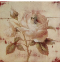 Gravura 25x25 cm