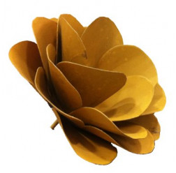 Rosa de ferro