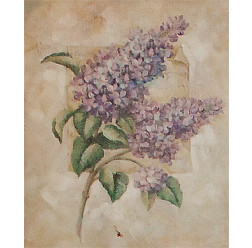Gravura 25x20 cm