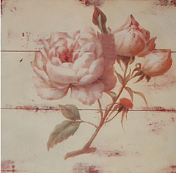 Gravura 25x25 cm