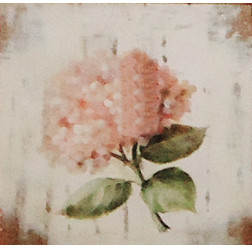 Gravura 20x20 cm