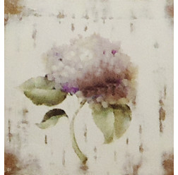 Gravura 20x20 cm