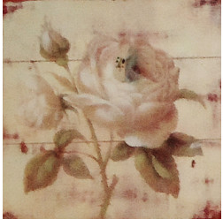 Gravura 25x25 cm