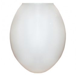 Vaso Zepelim leitosa