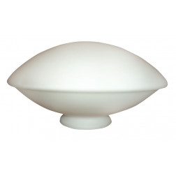 Cúpula de vidro 10